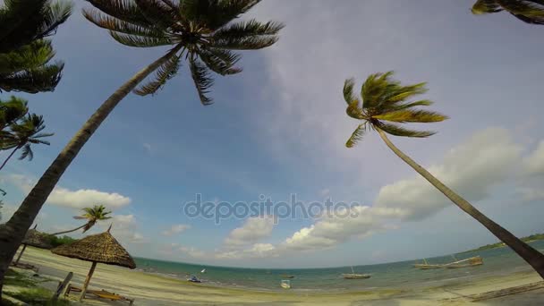 Bonjour, Mafia Island. Tanzanie. De l'océan Indien . — Video