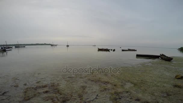 Barco ancorado no porto - Amazonas vídeo, stock footage sem royalties © perin@ #170714068 Barco ancorado no porto - Amazonas vídeo, stock footage sem royalties © perin@ #170714068