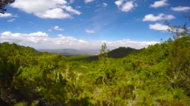 Safari - Afrika savana yolculuk. Tanzanya.