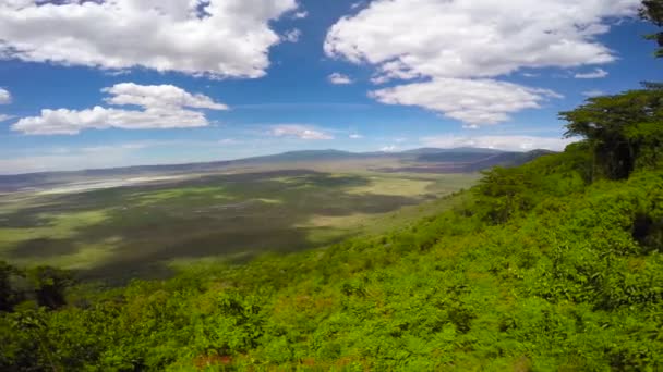 En el cráter de Ngorongoro. Safari - viaje a través de la sabana africana. Tanzania . — Vídeos de Stock