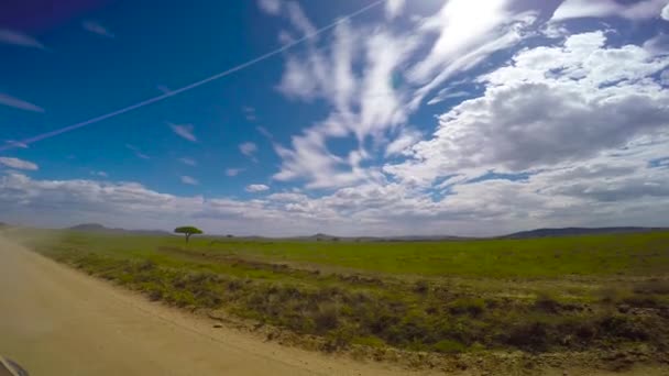 Safari - viaje a través de la sabana africana. Tanzania . — Vídeos de Stock