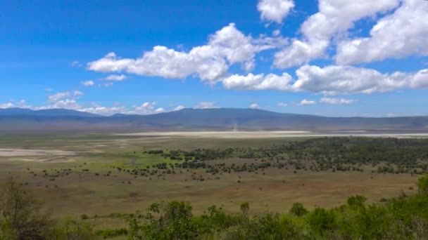 The crater of Ngorongoro. Safari - journey through the African Savannah. Tanzania. — Stock Video