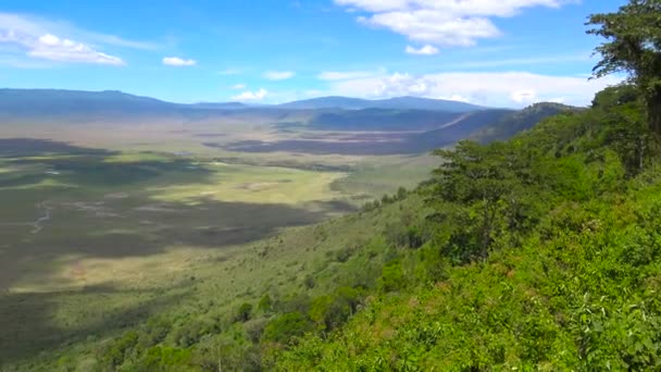 Krater Ngorongoro. Safari - podróż przez afrykańskiej sawanny. Tanzania. — Wideo stockowe