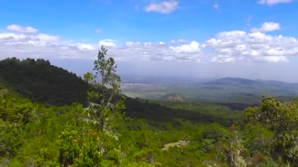 Safari - journey through the African Savannah. Tanzania. — Stock Video