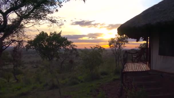 La noche en Savannah. Safari - viaje a través de la sabana africana. Tanzania . — Vídeos de Stock