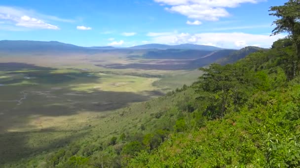 Ngorongoro krateri. Safari - Afrika savana yolculuk. Tanzanya. — Stok video