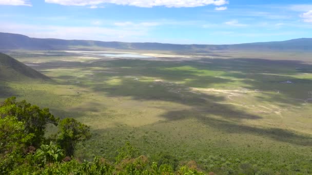 Le cratère Ngorongoro. Safari - voyage à travers la savane africaine. Tanzanie .