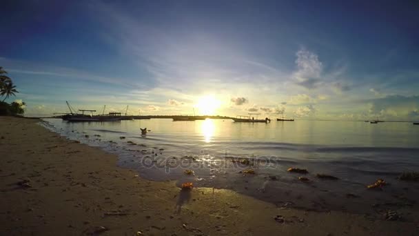 Mattina sull'isola della mafia. Tanzania. Dell'oceano Indiano . — Video Stock