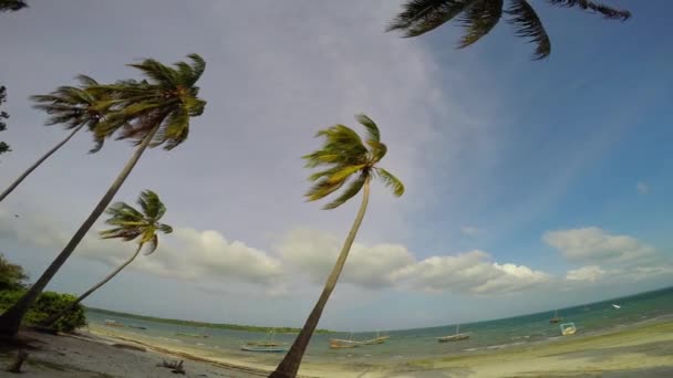 Morning Mafia island. Tanzania. Of the Indian ocean. — Stock Video