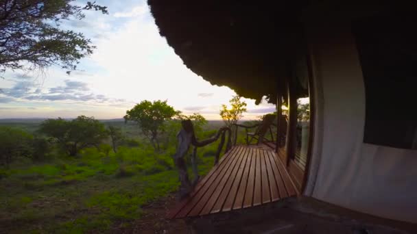 La soirée à Savannah. Safari - voyage à travers la savane africaine. Tanzanie . — Video