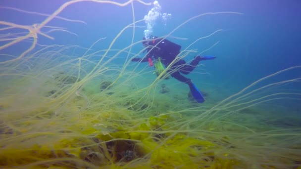 Mergulho subaquático emocionante no mar frio de Barents. Oceano Ártico. Rússia . — Vídeo de Stock