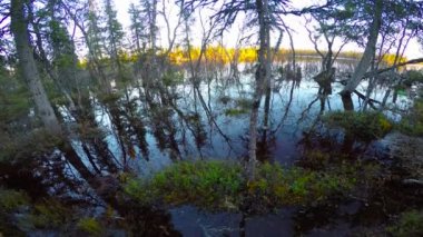  Göl Lovozero kıyısında. Kola Yarımadası. Rusya.