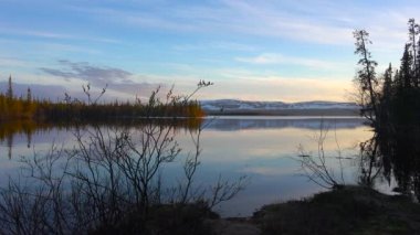  Göl Lovozero kıyısında. Kola Yarımadası. Rusya.