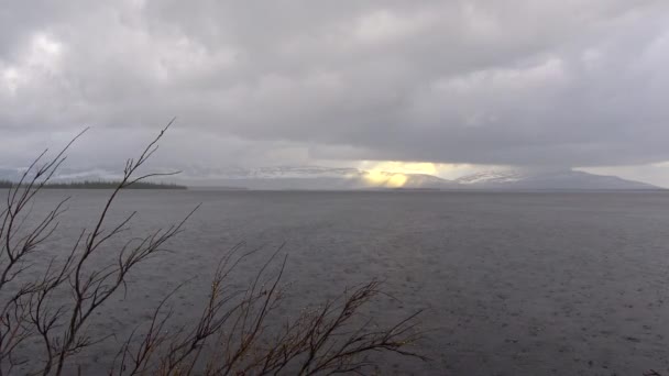 에 호수 Lovozero의 해안. 콜라 반도입니다. 러시아. — 비디오