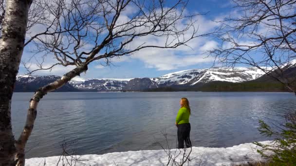 Sur la rive du lac Seidozero. Péninsule de Kola. Russie . — Video