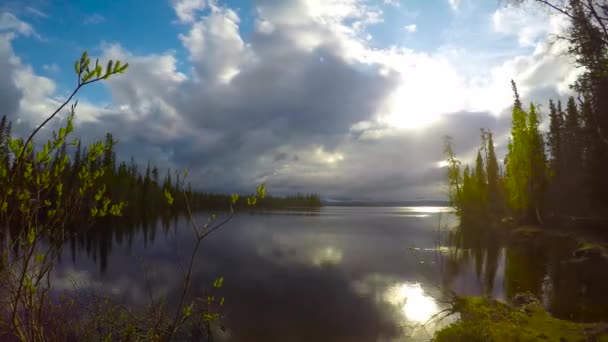 Göl Lovozero kıyısında. Kola Yarımadası. Rusya. — Stok video
