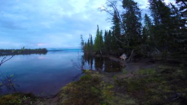  Göl Lovozero kıyısında. Kola Yarımadası. Rusya.