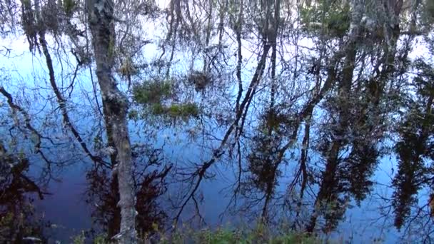 En la orilla del lago Lovozero. Península de Kola. Rusia . — Vídeos de Stock