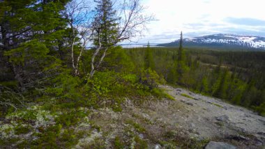 Göl Lovozero vadisinde yürüyüş yolları. Kola Yarımadası. Rusya. 