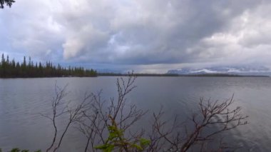  Göl Lovozero kıyısında. Kola Yarımadası. Rusya.