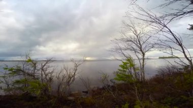  Göl Lovozero kıyısında. Kola Yarımadası. Rusya.