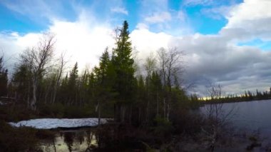  Göl Lovozero kıyısında. Kola Yarımadası. Rusya.