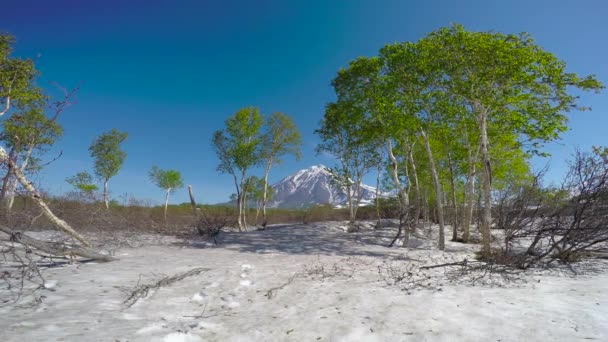 堪察加半岛之旅。Koryaksky 谷和灯光的火山. — 图库视频影像