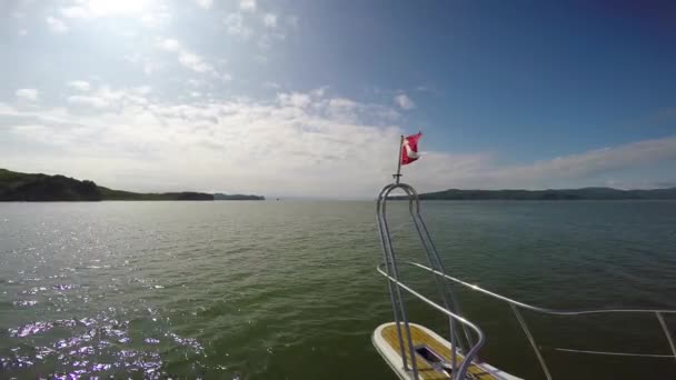 Mare Safari viaggio dalla penisola di Kamchatka. Russia . — Video Stock