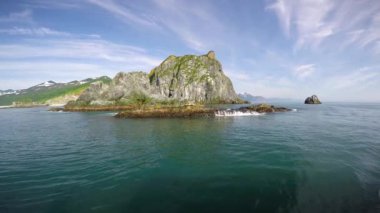 Kamçatka Yarımadası deniz Safari yolculuk. Deniz Aslanları.