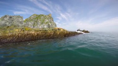 Kamçatka Yarımadası deniz Safari yolculuk. Deniz Aslanları.