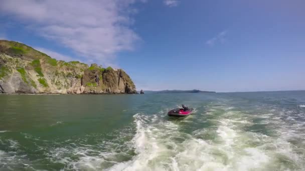 Mare Safari viaggio dalla penisola di Kamchatka. Russia . — Video Stock