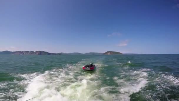 Mare Safari viaggio dalla penisola di Kamchatka. Russia . — Video Stock