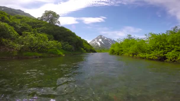 Viaje Sea Safari desde la Península de Kamchatka. La desembocadura del río Alerce . — Vídeo de stock