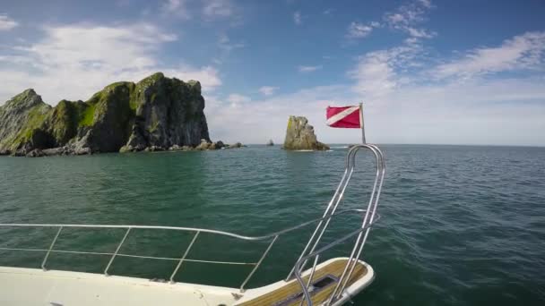 캄차카 반도에서 바다 사파리 여행입니다. 바다 사자. — 비디오