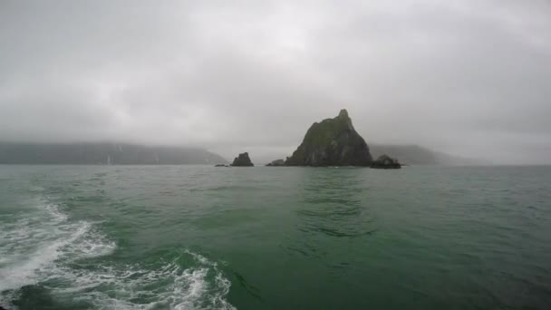 Sea Safari viagem a partir da Península de Kamchatka. Rússia . — Vídeo de Stock