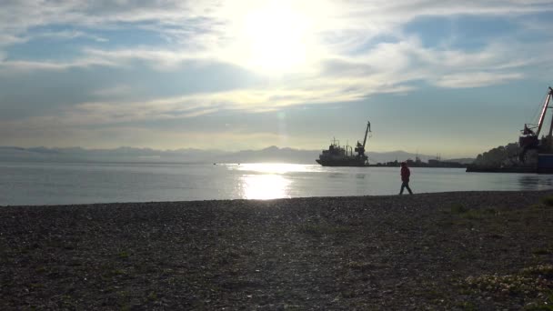 Na wybrzeżu Oceanu Spokojnego. Petropavlovsk Kamchatsky. Podróż do Półwyspu Kamczatka. Rosja. — Wideo stockowe