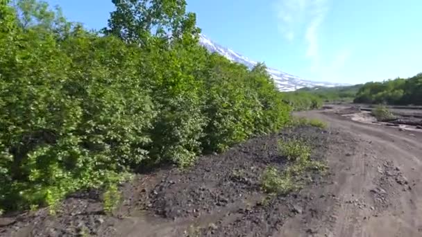 Reis naar het Russische schiereiland Kamtsjatka. Vallei van Sopka en Avatsjinskaja Sopka vulkanen. Rusland. — Stockvideo