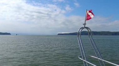 Deniz Safari yolculuk Kamçatka Yarımadası boyunca. Rusya. 