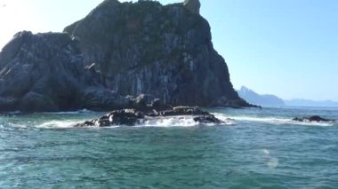 Deniz aslanı. Deniz Safari yolculuk Kamçatka Yarımadası boyunca. Rusya. 