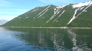 Deniz Safari yolculuk Kamçatka Yarımadası boyunca. Rusya. 