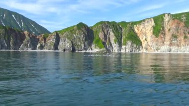 Deniz Safari yolculuk Kamçatka Yarımadası boyunca. Rusya. 