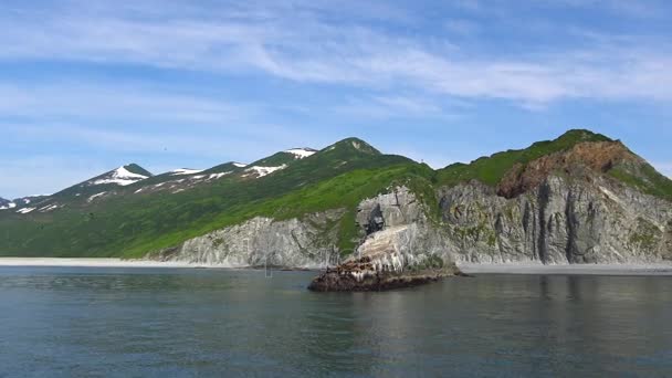 Deniz Aslanları. Deniz Safari yolculuk Kamçatka Yarımadası boyunca. Rusya. — Stok video