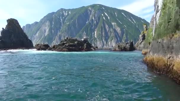 Sea Safari viagem ao longo da Península de Kamchatka. Rússia . — Vídeo de Stock