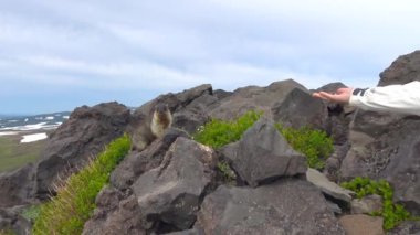 Dağ. Kamçatka Yarımadası yolculuk. Gorely volkan çevresindeki alanı. Rusya.