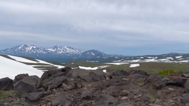 Mormoták. Utazás a Kamcsatka-félszigeten. A környék Gorely vulkán. Oroszország. — Stock videók