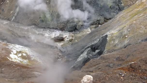 Viaggio nella penisola di Kamchatka. L'area circostante del vulcano Mutnovsky . — Video Stock