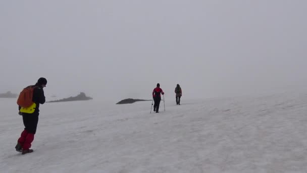 Resan till Kamtjatka. Omgivningarna runt Gorely vulkan. Ryssland. — Stockvideo