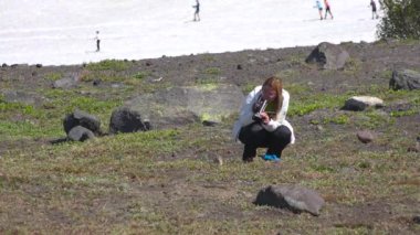 Kamçatka Yarımadası yolculuk. Saf Amerikan alan köpekler.