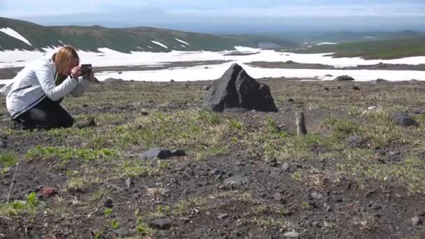 Viaggio nella penisola di Kamchatka. Cani da campo americani creduloni . — Video Stock