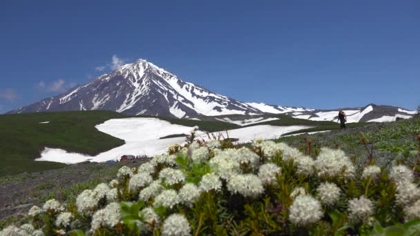 Viagem para a Península de Kamchatka. Vale de Koryaksky e vulcões de Avachinsky. Rússia . — Vídeo de Stock